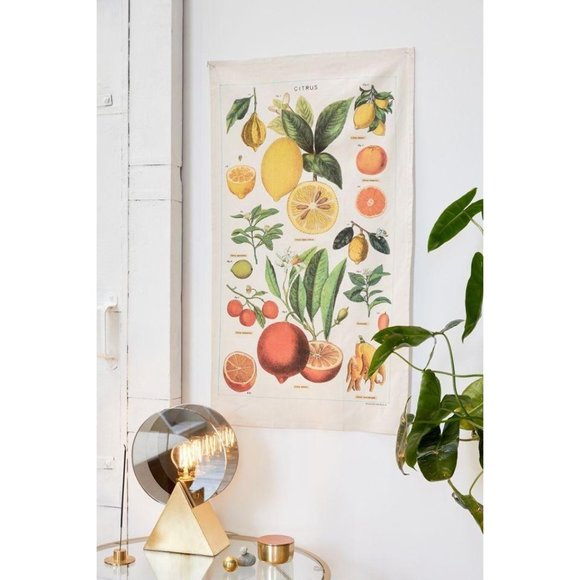 Urban Outfitters Other - UO Home White Fruit Chart Print Wall Covering Tape